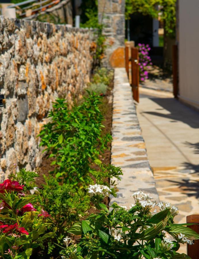 Eleni'S Cozy House Villa Agios Nikolaos Exterior foto